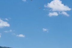 photo_116
