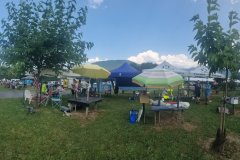 photo_133