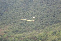 photo_032