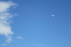 photo_066