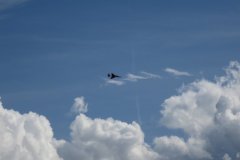 photo_072