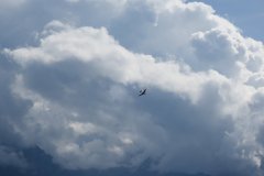 photo_073