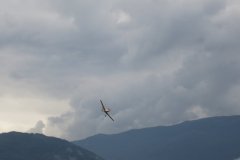 photo_125