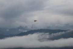 photo_142