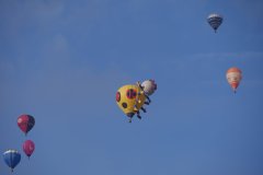photo_051
