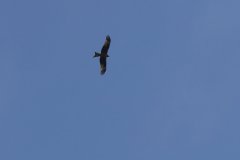 photo_088