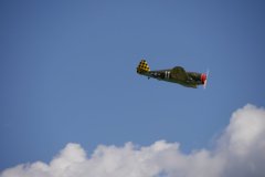 photo_177