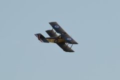 photo_179