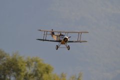 photo_206