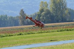 photo_247