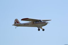 photo_261