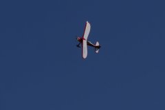 photo_272