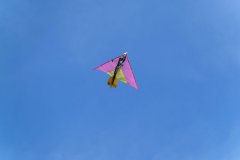 photo_135