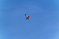 photo_163