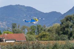 photo_184