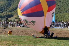 photo_203