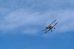 photo_214