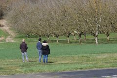 photo_017