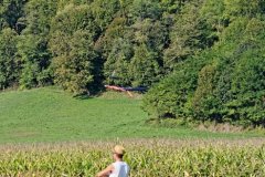 photo_019