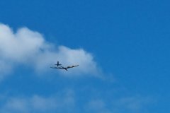 photo_101