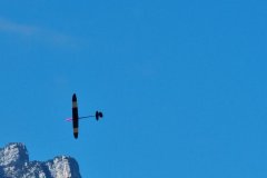 photo_102