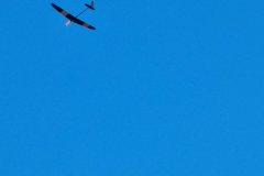 photo_103