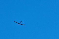 photo_104