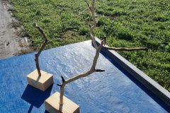 photo_106