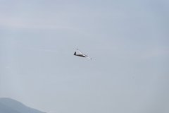 photo_028