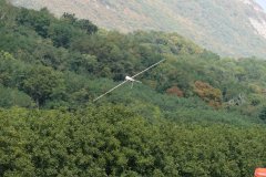 photo_043