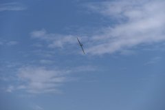 photo_086