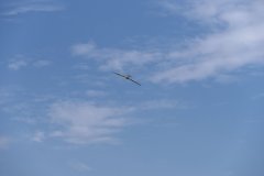 photo_088