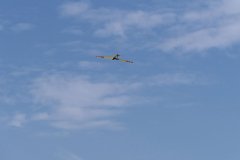 photo_089