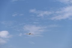 photo_092
