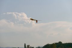 photo_094