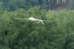 photo_095