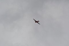 photo_029