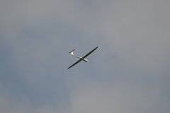 photo_051