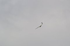 photo_064