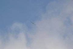 photo_077