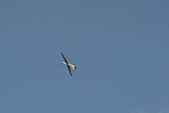 photo_086