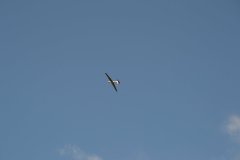 photo_087
