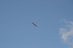 photo_088