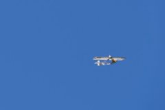 photo_006