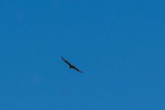 photo_051