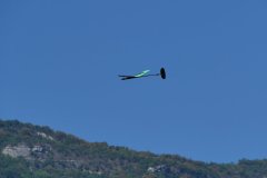 photo_102