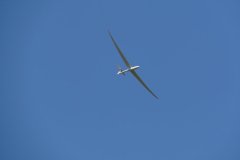 photo_031