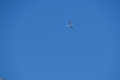 photo_128