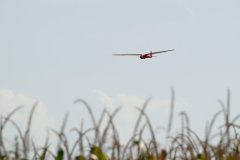 photo_042