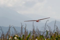 photo_043